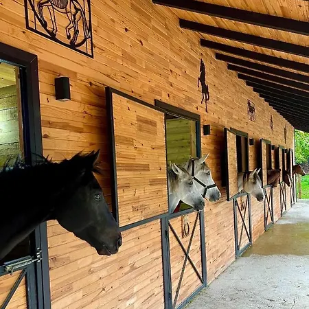 Bickidere Dogal Yasam Koyu Chalet