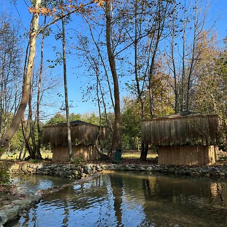 Bickidere Dogal Yasam Koyu Sakarya (Marmara)